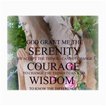 Serenity Prayer Roses Glasses Cloth (Small, Two Sides)