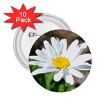 Daisy 2.25  Button (10 pack)