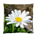 Daisy Cushion Case (Two Sides)