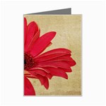 Red Gerbera Mini Greeting Card