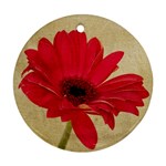 Red Gerbera Round Ornament (Two Sides)