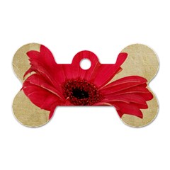 Red Gerbera Dog Tag Bone (Two Sides) from UrbanLoad.com Front