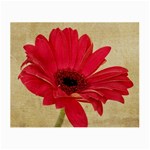 Red Gerbera Glasses Cloth (Small, Two Sides)