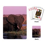 Elephant Playing Cards Single Design
