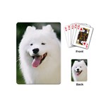 American Eskimo Dog Playing Cards (Mini)