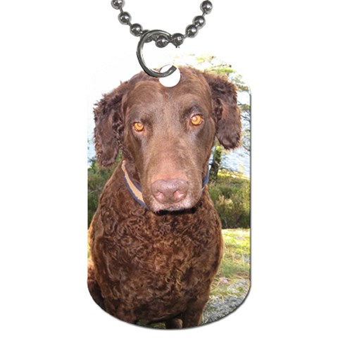 Curly Coated Retriever Dog Dog Tag (One Side) from UrbanLoad.com Front