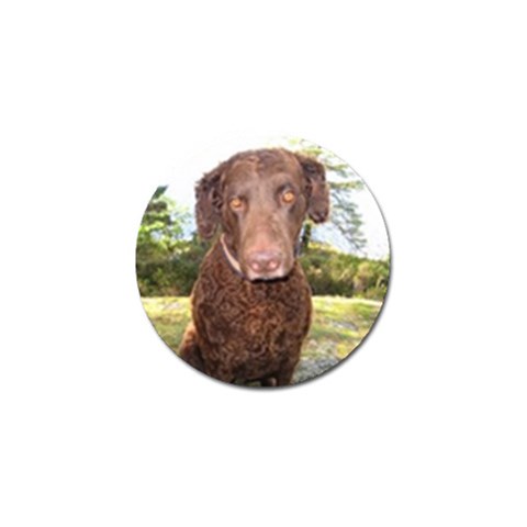 Curly Coated Retriever Dog Golf Ball Marker (4 pack) from UrbanLoad.com Front