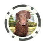 Curly Coated Retriever Dog Poker Chip Card Guard