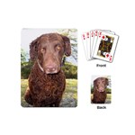 Curly Coated Retriever Dog Playing Cards (Mini)