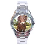 Curly Coated Retriever Dog Stainless Steel Analogue Men’s Watch