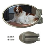 Irish Red And White Setter Dog Money Clip (Oval)