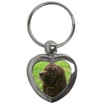 Irish Water Spaniel Dog Key Chain (Heart)