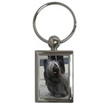 Skye Terrier Dog Key Chain (Rectangle)