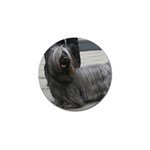 Skye Terrier Dog Golf Ball Marker