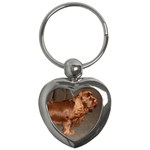 Sussex Spaniel Dog Key Chain (Heart)