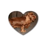 Sussex Spaniel Dog Heart Coaster (4 pack)