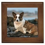 Cardigan Welsh Corgi Dog Framed Tile