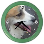 Icelandic Sheepdog Color Wall Clock