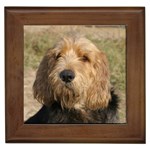 Otterhound Dog Framed Tile