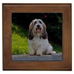 Petit Basset Griffon Dog Framed Tile