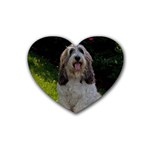Petit Basset Griffon Dog Heart Coaster (4 pack)