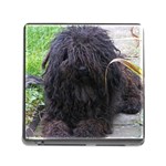 Puli Dog Memory Card Reader with Storage (Square)