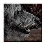 Scottish Deerhound Dog Tile Coaster