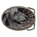 Scottish Deerhound Dog Belt Buckle