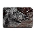 Scottish Deerhound Dog Small Doormat