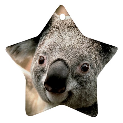 Koala Star Ornament (Two Sides) from UrbanLoad.com Front