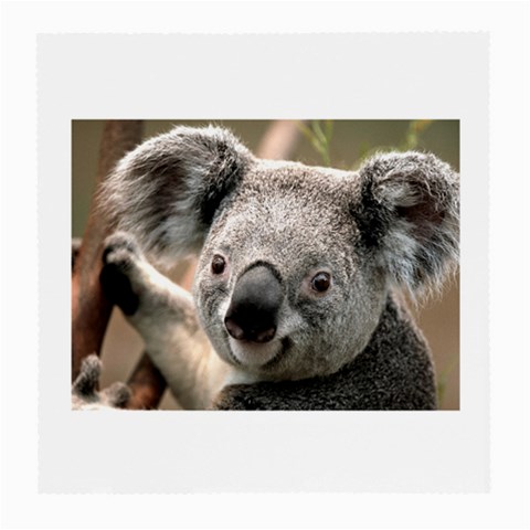 Koala Glasses Cloth (Medium) from UrbanLoad.com Front
