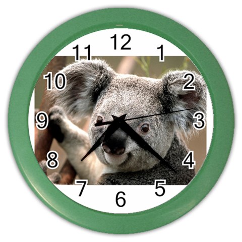 Koala Color Wall Clock from UrbanLoad.com Front
