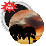 Tropical Vacation 3  Magnet (10 pack)