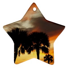 Tropical Vacation Star Ornament (Two Sides) from UrbanLoad.com Back