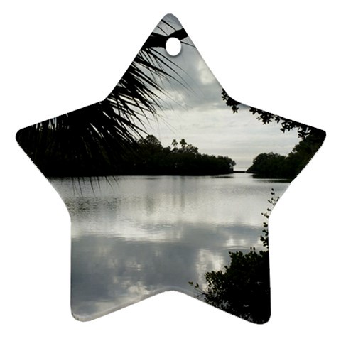 Howard Park Star Ornament (Two Sides) from UrbanLoad.com Front