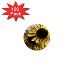 Double Sun 1  Mini Magnet (100 pack) 