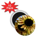 Double Sun 1.75  Magnet (10 pack) 