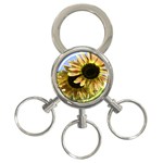 Double Sun 3-Ring Key Chain