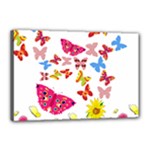Butterfly Beauty Canvas 18  x 12  (Framed)