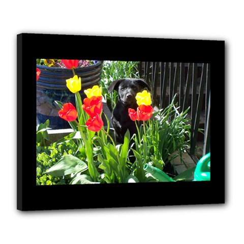 Black GSD Pup Canvas 20  x 16  (Framed) from UrbanLoad.com