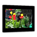 Black GSD Pup Canvas 20  x 16  (Framed)