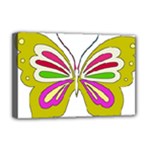 Color Butterfly  Deluxe Canvas 18  x 12  (Framed)
