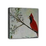Sweet Red Cardinal Mini Canvas 4  x 4  (Framed)