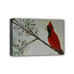 Sweet Red Cardinal Mini Canvas 6  x 4  (Framed)