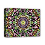 Psychedelic Leaves Mandala Deluxe Canvas 14  x 11  (Framed)