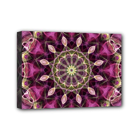 Purple Flower Mini Canvas 7  x 5  (Framed) from UrbanLoad.com