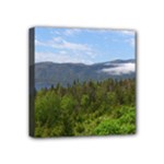 Newfoundland Mini Canvas 4  x 4  (Framed)