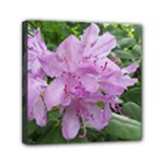Purple Rhododendron Flower Mini Canvas 6  x 6 