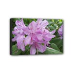 Purple Rhododendron Flower Mini Canvas 6  x 4 