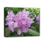 Purple Rhododendron Flower Canvas 10  x 8 